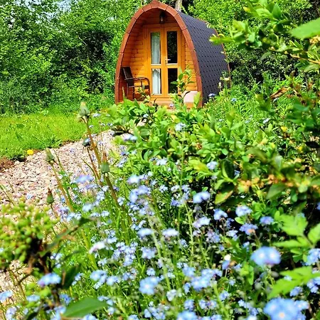 Pods Alte Schule Apartamento Elchweiler