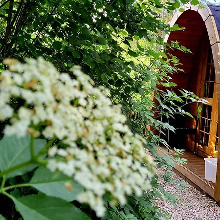 Pods Alte Schule Apartamento *