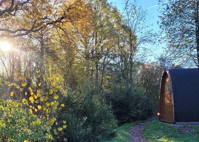 Apartment Pods Alte Schule