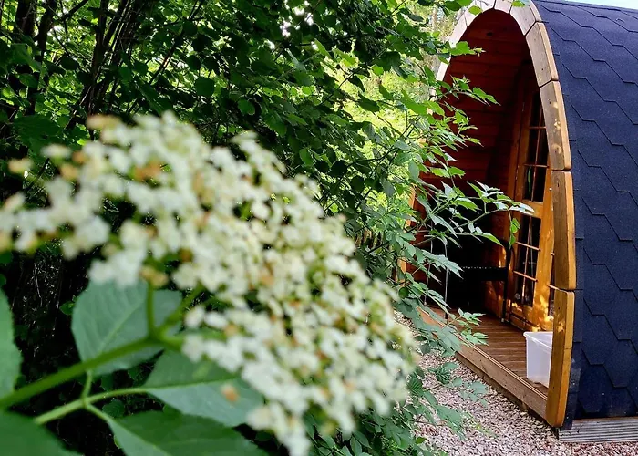 Pods Alte Schule Apartment *